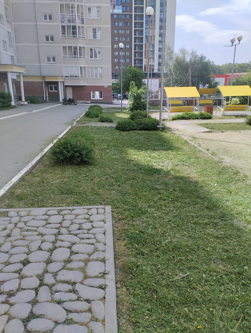 03d76738-1d7a-41e5-b35f-5c2cf4598384 (1).jpg