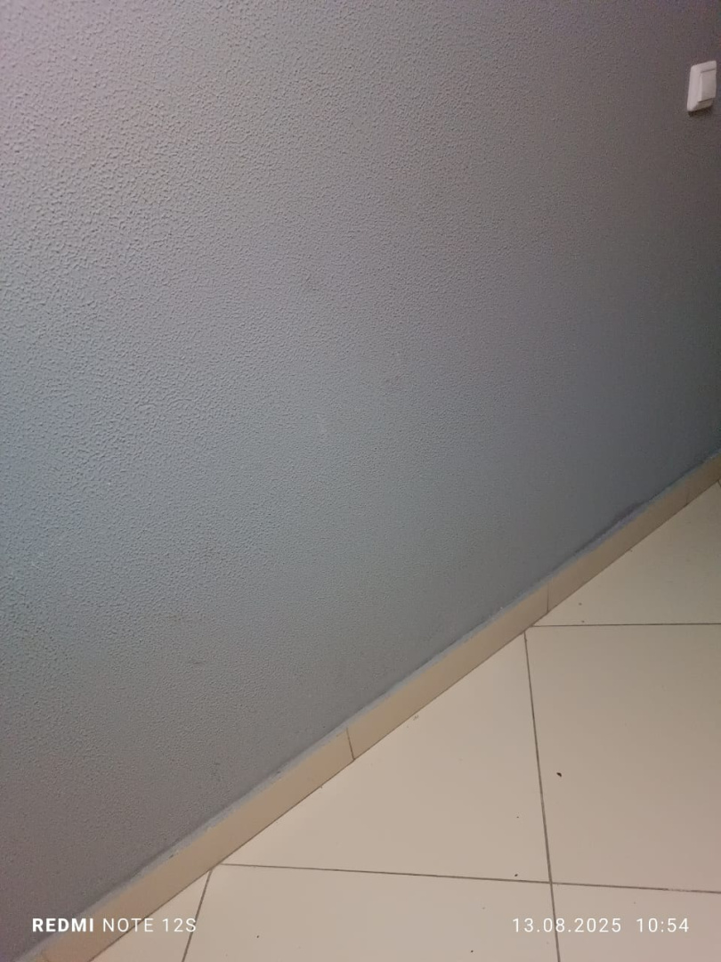 сколы 6 п, 2 эт О1 (1).jpeg
